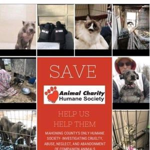 Meet your Posher, Cheri